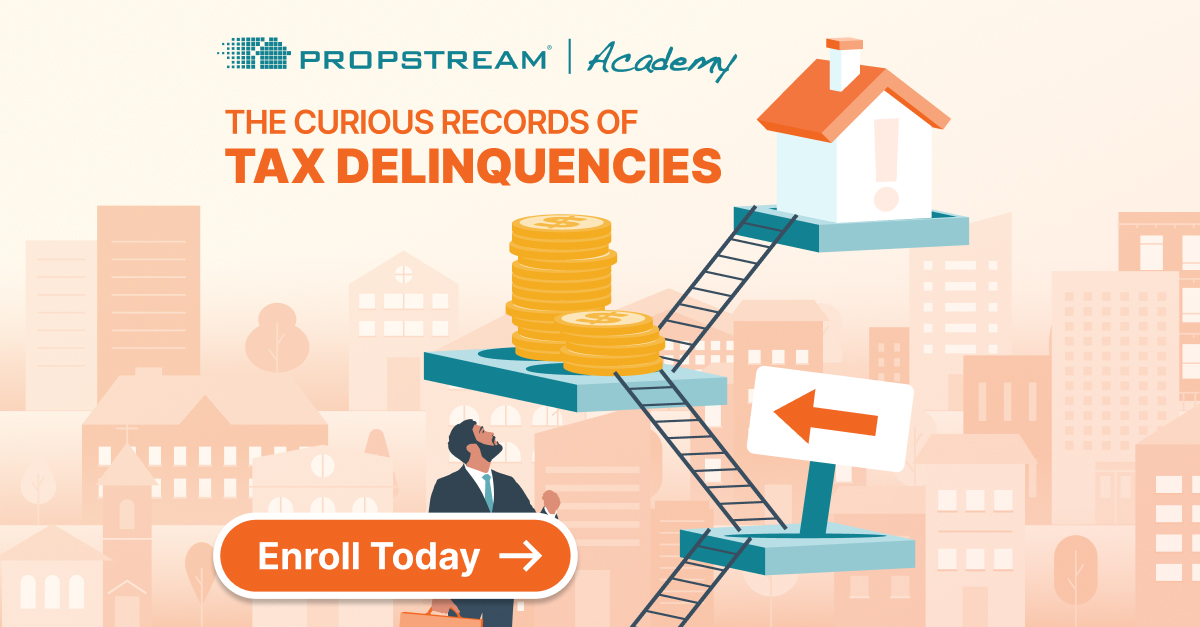 The Curious Records of Tax Delinquencie The Curious Records of Tax Delinquencie